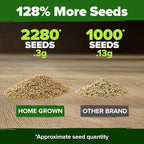 HOME GROWN German Chamomile Seed Pack 2, 280 Non GMO Heirloom Seeds - Image 3