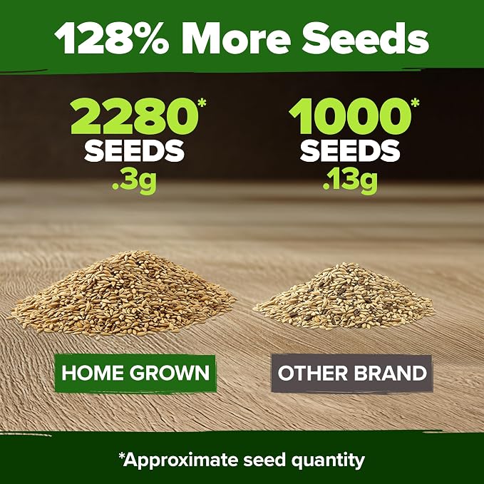 HOME GROWN German Chamomile Seed Pack 2, 280 Non GMO Heirloom Seeds - Image 3