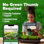 HOME GROWN Georgia Southern Collard Green Seeds 600+ Heirloom Non-GMO Seeds - Image 8