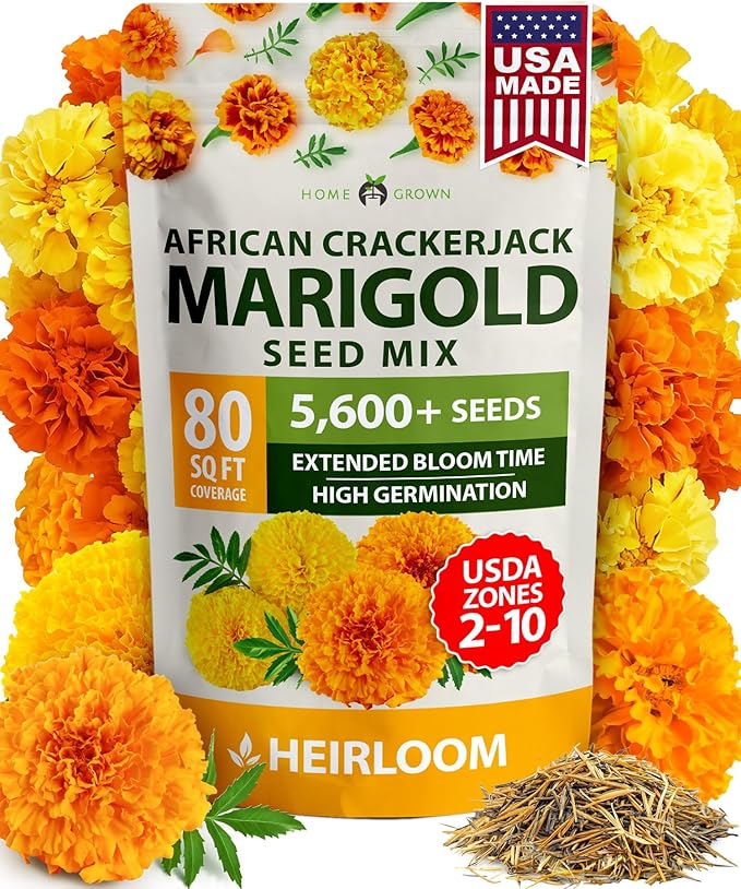 HOME GROWN Marigold Seeds Bulk Mix by HOMEGROWN