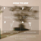 COCORRÍNA Lavender Eucalyptus Reed Diffuser – 6.76 oz Essential Oil - Image 7