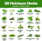 HOME GROWN Premium Herb Seeds Variety Pack - Image 3