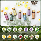 Fragrance Essential Oils Set - Image 4