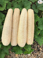 Natural Loofah Sponges Organic Luffa Bath Shower Sponge Exfoliating Body Back by YEMTAL