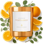 Benevolence LA Eucalyptus Orange Wood Wick Candles | Soy Christmas Scented by BenevolenceLA