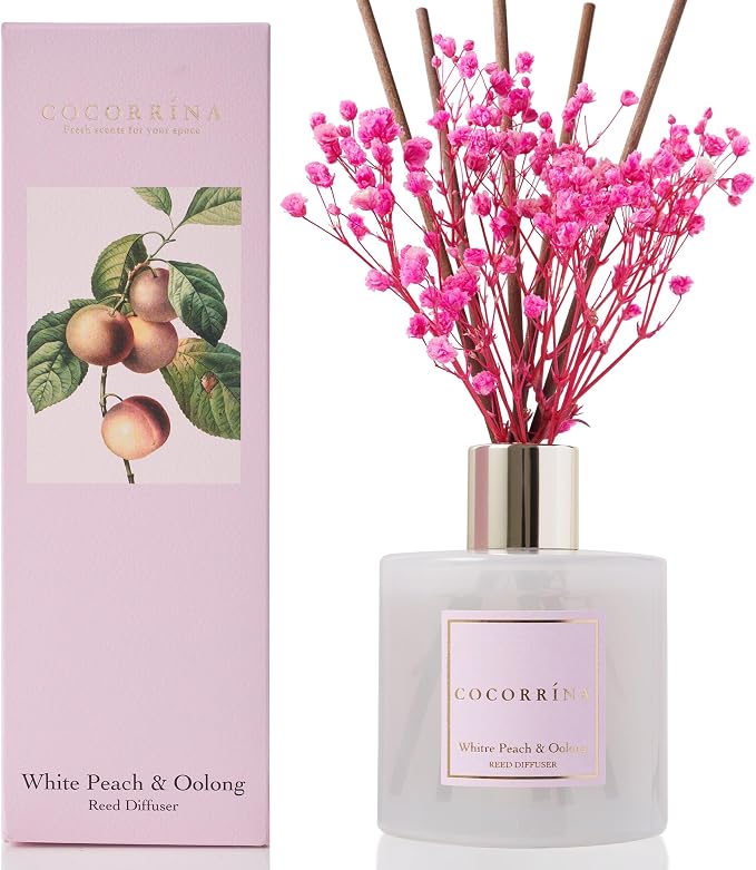 Cocorrína Reed Diffuser Sets - Image 2