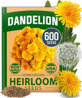 HOME GROWN Dandelion Seeds for Planting 600 Heirloom Medicinal Herb Seeds Non by HOMEGROWN