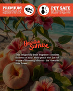 Shortie's Candle Company Hawaiian Sunrise Premium Tealight Candles - Image 5
