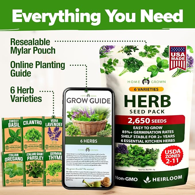HOME GROWN 6 Herb Seeds for Planting 2, 650+ Non-GMO Heirloom Seeds | Extra - Image 6
