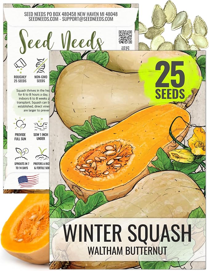 Seed Needs Waltham Butternut Squash Seeds by SeedNeeds