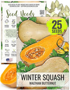 Seed Needs Waltham Butternut Squash Seeds by SeedNeeds