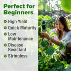 HOME GROWN Contender Bush Bean Seeds 28+ Heirloom Non-GMO, High Germination - Image 4