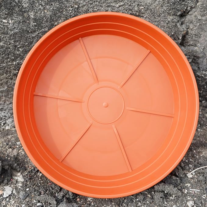 Plant Saucer 8 Inch 4 Pack 6 8 10 12 14 16 18 20 25, Plastic Plant Trays - Image 6