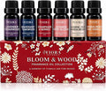 Premium Fragrance Oil Set – Highly Concentrated Scented Oils by FioraNaturals