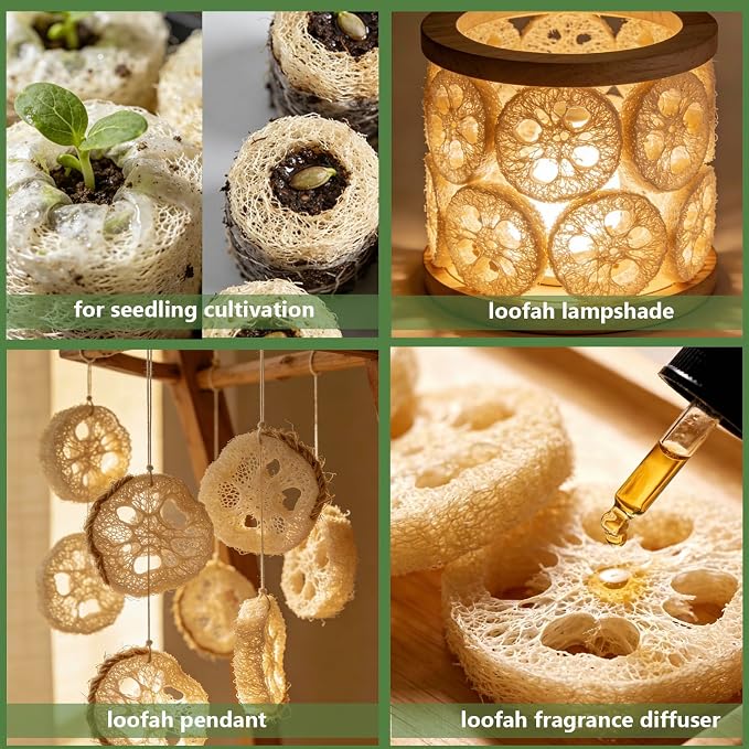 Natural Loofah Sponge for Soap Making, 20 Pack Organic Loofahs Slices Cuts Set - Image 4