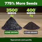 HOME GROWN Genovese Basil Seeds 2 Pack - Image 3