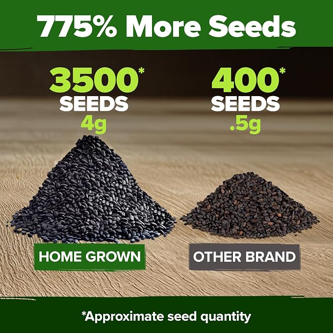 HOME GROWN Genovese Basil Seeds 2 Pack - Image 3
