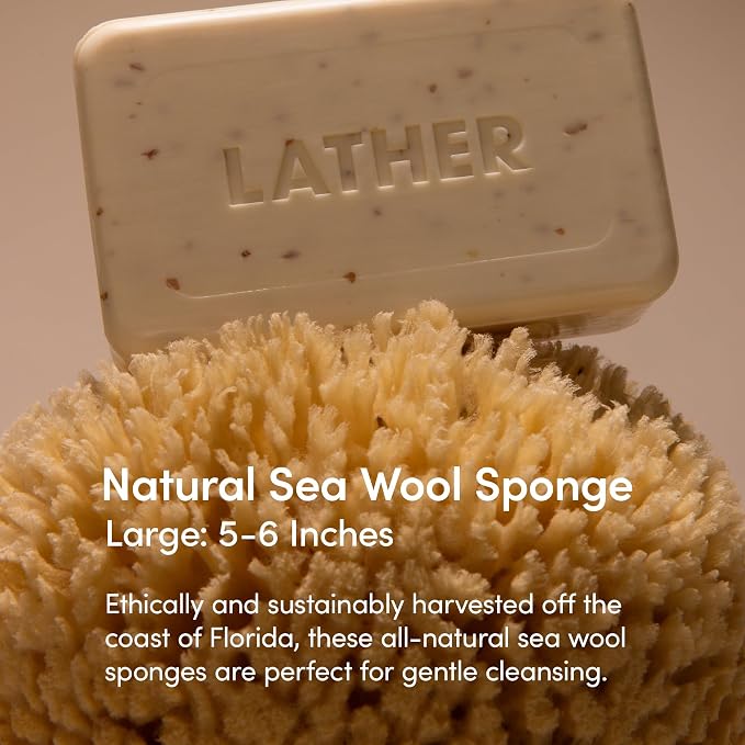 LATHER - Natural Sea Wool Sponge, 5-6" - Organic Exfoliating Body Scrubber - - Image 2
