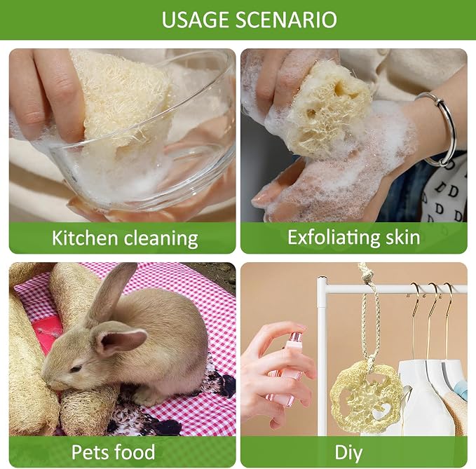 Natural Loofah Sponge, Organic Bath Loofah Pack, Lufas Exfoliating Body Scrubber - Image 4