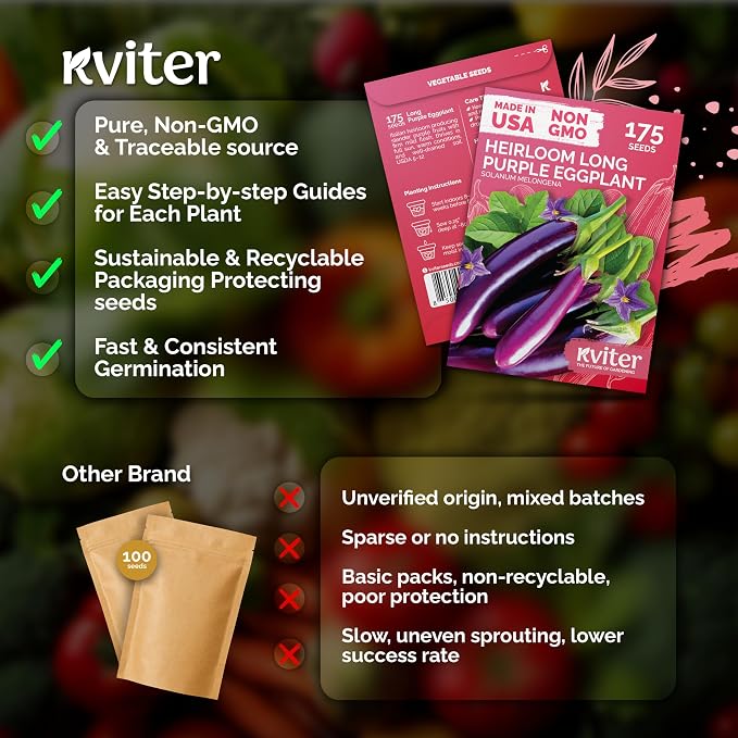 KVITER 175 Long Purple Eggplant Seeds – Asian Eggplant, Dark Purple Italian Egg - Image 5