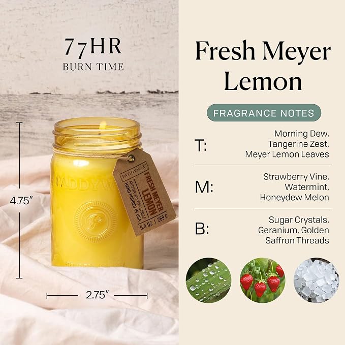 Paddywax Scented Candles Relish Collection Soy Wax Artisan Candle in Glass Jar - Image 3