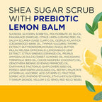 Dr Teal's Shea Sugar Scrub, Prebiotic Lemon Balm, 19 oz - Image 7