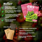 KVITER 1000 Tall Utah Celery Seeds – Celery Seed Packets Home Grown – Non GMO - Image 5