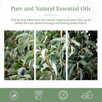 PHATOIL Pure Eucalyptus Essential Oil, 100% Pure Therapeutic Grade Premium Oil - Image 7