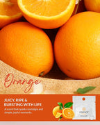 Essence Wearable Aromatherapy Nasal Diffuser – Orange Essential Oil Nose Ring - Image 3