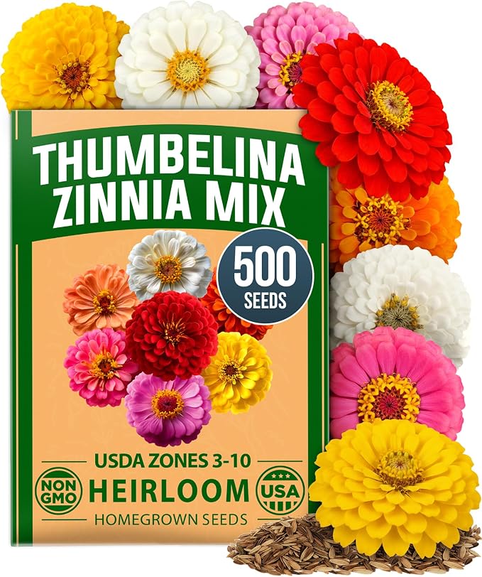 HOME GROWN Thumbelina Zinnia Seeds – 500 Dwarf Zinnia by HOMEGROWN