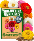 HOME GROWN Thumbelina Zinnia Seeds – 500 Dwarf Zinnia by HOMEGROWN