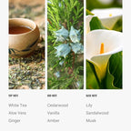 Hotel Collection Diffuser Oil-Dream On Pro-Pod-Aromatherapy Essential - Image 4