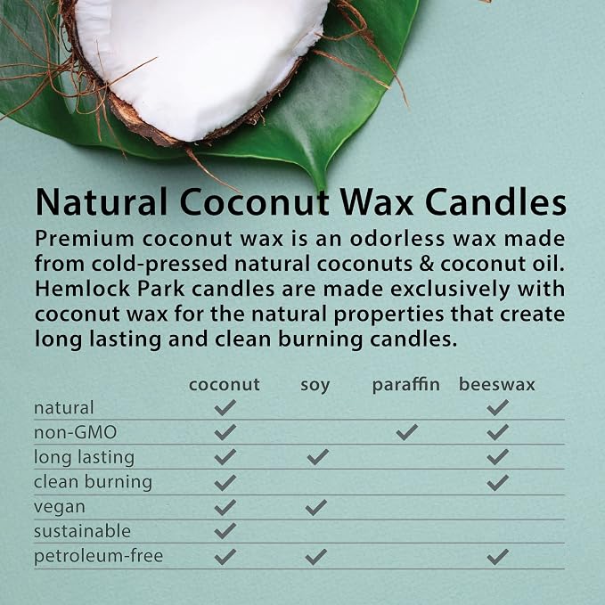 Hemlock Park Balsam Cedar Apothecary Hand-Poured Scented Candle | Crackling - Image 3