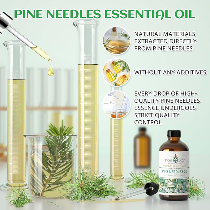 EVOKE OCCU Pine Essential Oil for Diffuser, Fresh Pine Scent for Aromatherapy - Image 9