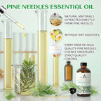 EVOKE OCCU Pine Essential Oil for Diffuser, Fresh Pine Scent for Aromatherapy - Image 9