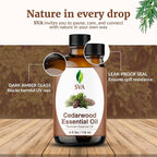 SVA Cedarwood Essential Oil – 4 Fl Oz – 100% Natural Cedar Cupressus Funebris - Image 7