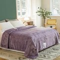 JET'S HOME Heated Blanket Twin 62"x84" by Jetshome