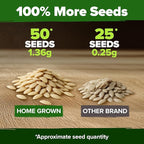 HOME GROWN Persian Cucumber Seeds 50+ Heirloom Non-GMO, Beit Alpha Variety - Image 3