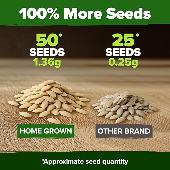 HOME GROWN Persian Cucumber Seeds 50+ Heirloom Non-GMO, Beit Alpha Variety - Image 3