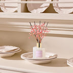 Cocorrína Reed Diffuser Sets - Image 5