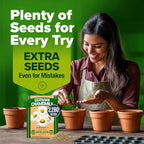 HOME GROWN German Chamomile Seed Pack 2, 280 Non GMO Heirloom Seeds - Image 8
