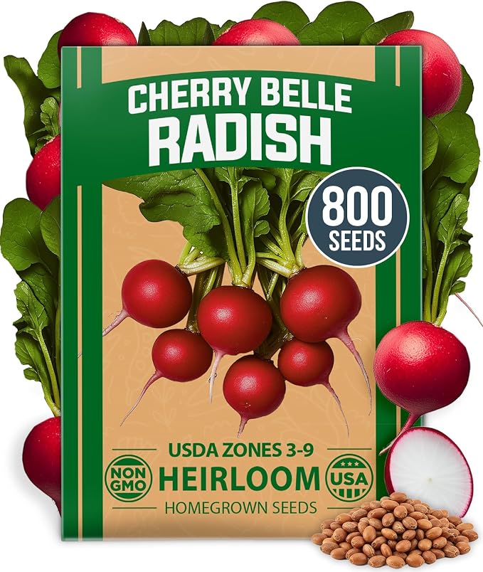 HOME GROWN Cherry Belle Radish Seeds 800+ Heirloom Non-GMO Seeds by HOMEGROWN
