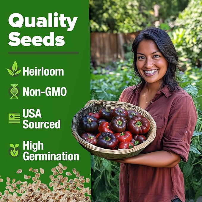 HOME GROWN Cherokee Purple Tomato Seeds 106+ Heirloom Non GMO Seeds - Image 2
