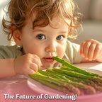 KVITER 100 Mary Washington Asparagus Seeds – Heirloom Non GMO Asparagas Seed - Image 7