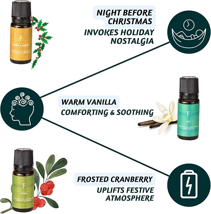 Folkulture Essential Oils Set for Diffuser | Set of 6 Cozy Aromatherapy Oils - Image 4