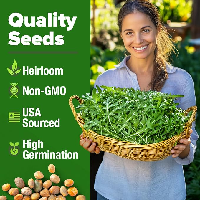 HOME GROWN Arugula Roquette Seeds 2, 175+ Heirloom Non-GMO Seeds - Image 2