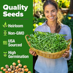 HOME GROWN Arugula Roquette Seeds 4350+ Bulk Pack Heirloom Non-GMO, High - Image 2