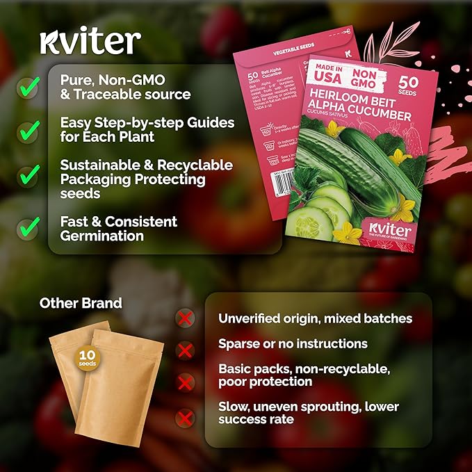 KVITER 50 Beit Alpha Cucumber Seeds - Image 5