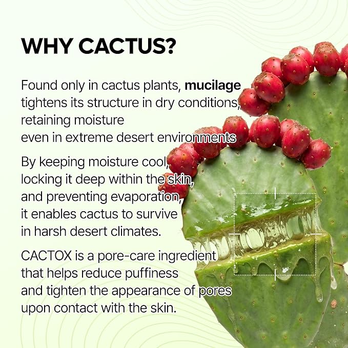 Dr.Melaxin Cactox Pore Relief Jelly Serum Mist, Instant Cooling Face Mist - Image 4