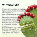 Dr.Melaxin Cactox Pore Relief Jelly Serum Mist, Instant Cooling Face Mist - Image 4